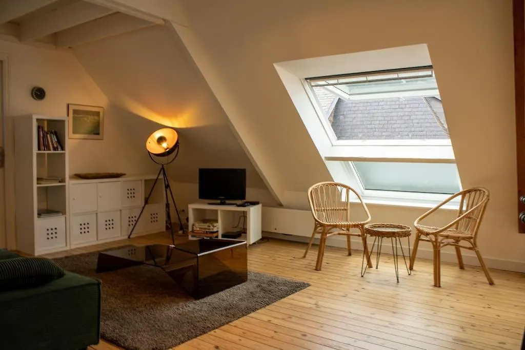 Ar Bili/Vue Mer/Wifi Crozon Apartment